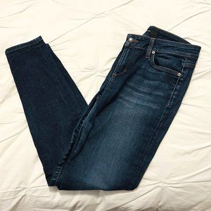 Joes Jeans Skinny Fit Carlotta (Size 27)